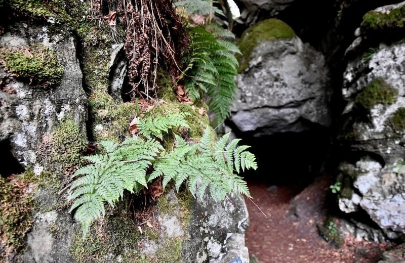 518349624 1334762638653277 5548961531801811899 n 6967b23fd34a5